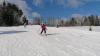 Žáci 1.-3. tříd lyžují v Olešnici.