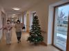 Vánoční výzdoba pro Hopic sv. Alžběty - výzdoba v Hospicu sv. Alžběty